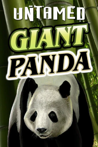 Игровой автомат Untamed - Giant Panda демо игра | GMSlots Casino бесплатно